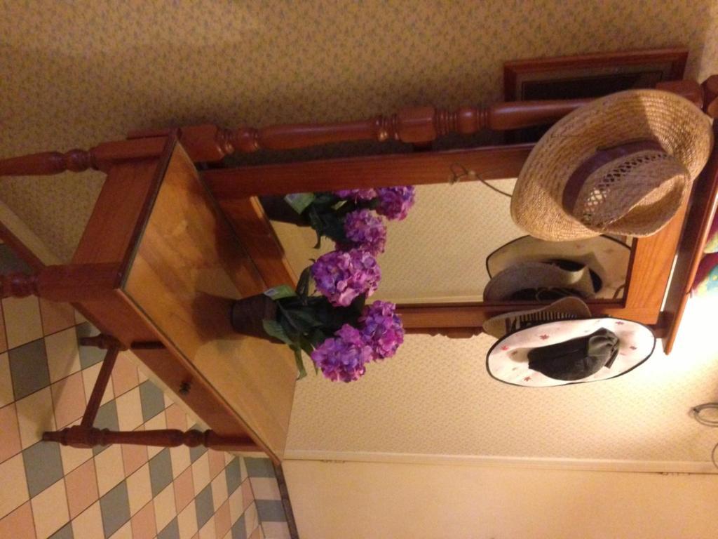 Annie'S Shandon Inn บริสเบน ภายนอก รูปภาพ